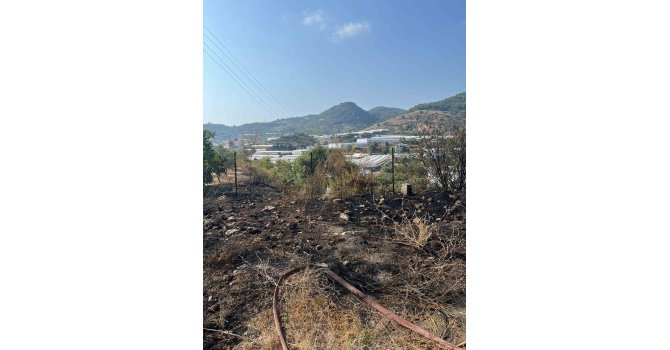 Alanya’da otluk alanda çıkan yangın büyümeden söndürüldü