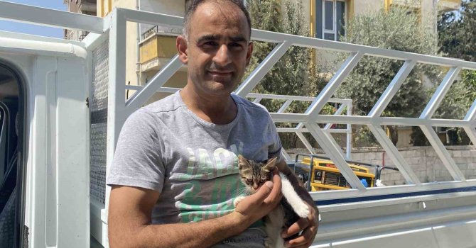 Ağaçta mahsur kalan yavru kedi vatandaşın dikkatiyle kurtarıldı