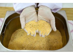 Büyükşehirden kadınlara üretim desteği