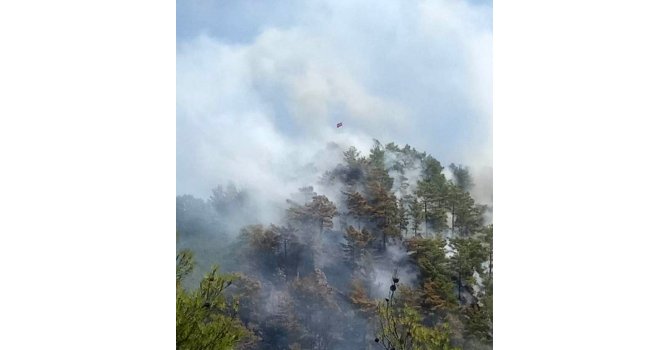 Anamur’da orman yangını