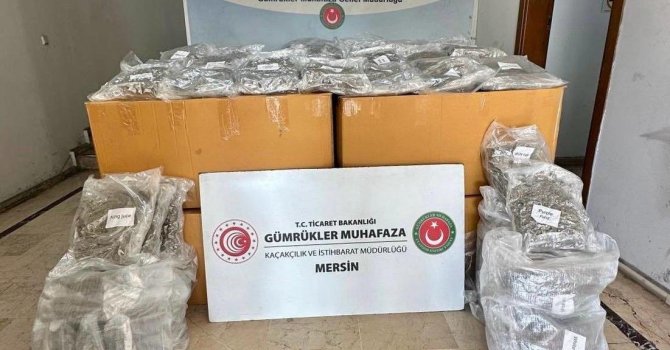 Mersin Limanı’nda 587 kilogram esrar ele geçirildi