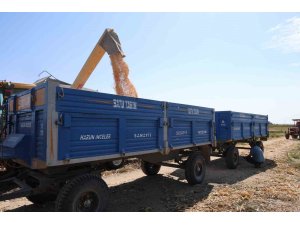 Adana’da aşırı sıcaklarda üreticilerin zorlu mesaisi