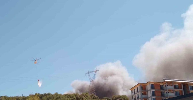 Orman Bölge Müdürlüğü inşaatında yangın: Havadan ve karadan müdahale ediliyor