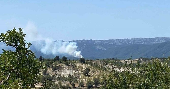 Bozyazı’da orman yangını