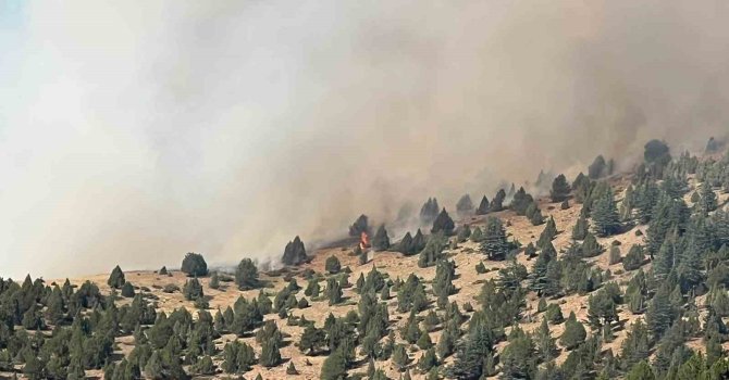 Kahramanmaraş’taki orman yangını ekiplerin müdahalesi sürüyor