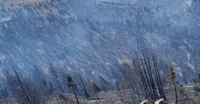 Kahramanmaraş’taki orman yangını sürüyor