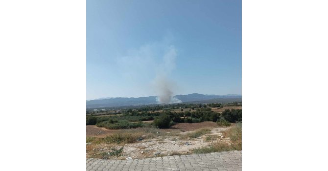 Osmaniye’nin Sumbas ilçesinde orman yangını başladı