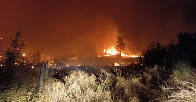 Serik’te tarım arazisinden ormana sıçrayan yangın 5 saatte söndürüldü