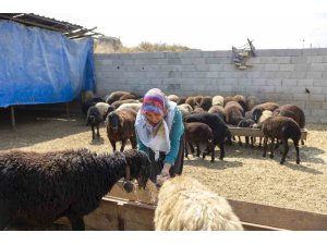 Mersin’de küçükbaş hayvan ve yem desteği üreticilerin yüzünü güldürdü