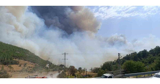 Mersin’deki orman yangınında evler tedbiren boşaltılıyor