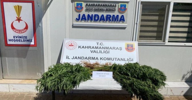 Çeşitli suçlardan yakalanan 14 şüpheli tutuklandı