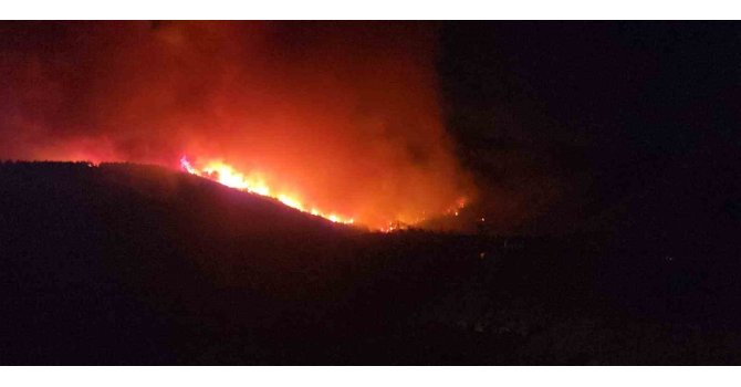 Hatay’da orman yangınının etkili olduğu bölgede evler tahliye ediliyor