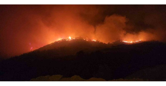 Hassa’da çıkan yangında iki mahallede toplam 540 kişi tahliye edildi