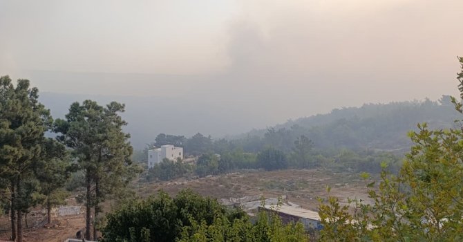 Mersin’deki orman yangını 2. gününde
