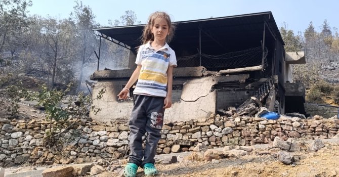 Mersin’de orman yangınında evler yandı, hayvanlar telef oldu