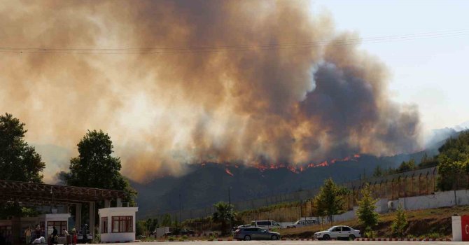 Türkiye - Suriye sınırının sıfır noktasında orman yangını