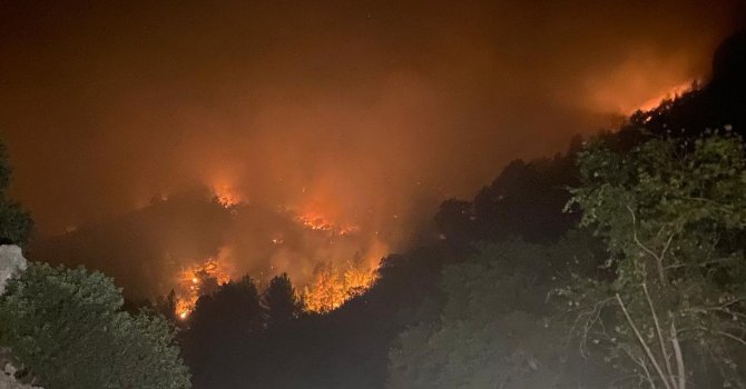Mersin’de iki ilçede orman yangınları sürüyor