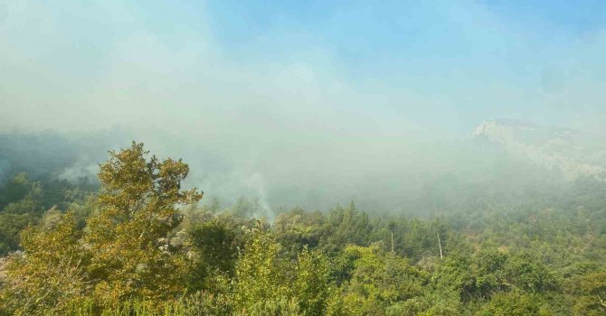 Mersin Anamur’daki orman yangını sürüyor, ekipler havadan ve karadan müdahale ediyor