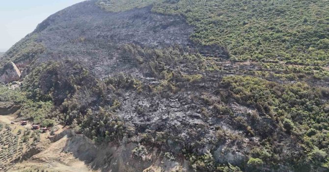 Yayladağı’nda çıkan orman yangını kontrol altına alındı