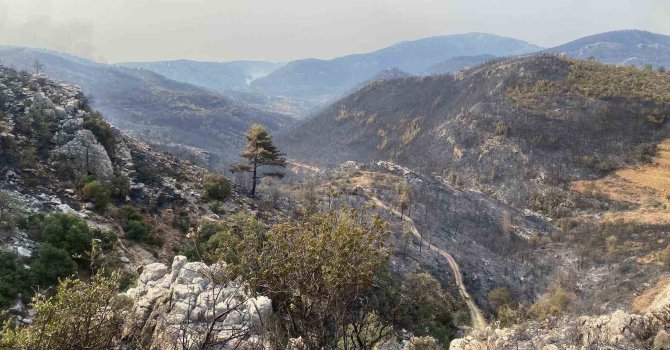 Mersin Silifke’de yangın büyük ölçüde kontrol altına alındı