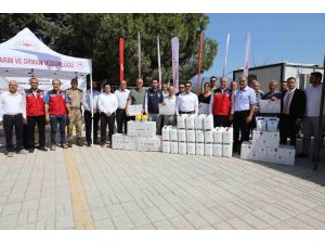 Hatay’da Akdeniz meyve sineğiyle mücadele kapsamında çiftçiler desteklendi