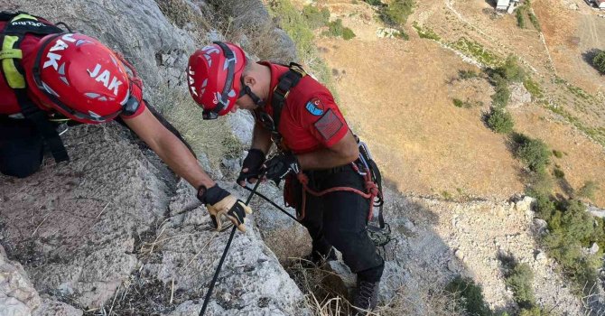 Serik’te uçurumda 3 gündür mahsur kalan keçi, ekipler tarafından kurtarıldı