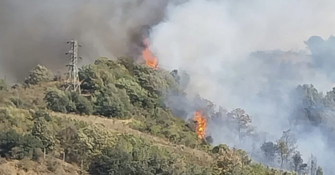 Osmaniye’nin Bahçe ilçesinde ormanlık alanda yangın çıktı