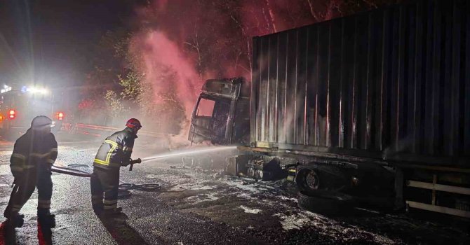 Tırdan ormanlık alana sıçrayan yangın söndürüldü