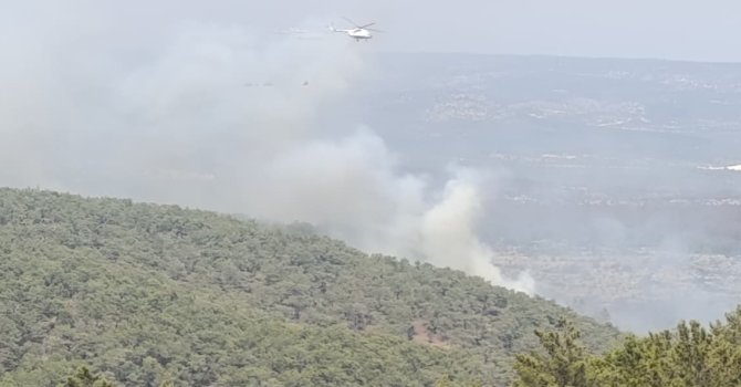 Mersin’de kaynak yaparken orman yangınına neden olan firma sahibi ile 4 kişi tutuklandı