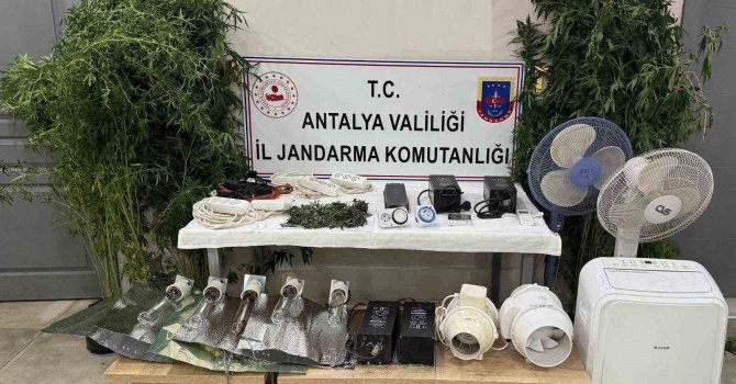 Evini uyuşturucu serasına çevirdi, kaçamadı