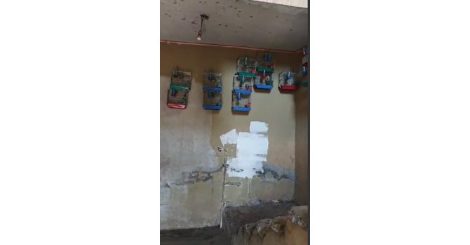 Evinde saka kuşu bulunan şahsa 151 bin 200 lira para cezası