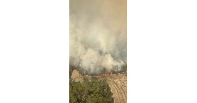 Adana’da orman yangınına 6 helikopter ve 2 uçakla müdahale ediliyor