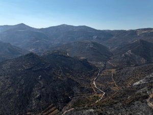 Orman yangınından geriye kalan acı manzara: 15 bin dönümden fazla alan küle döndü