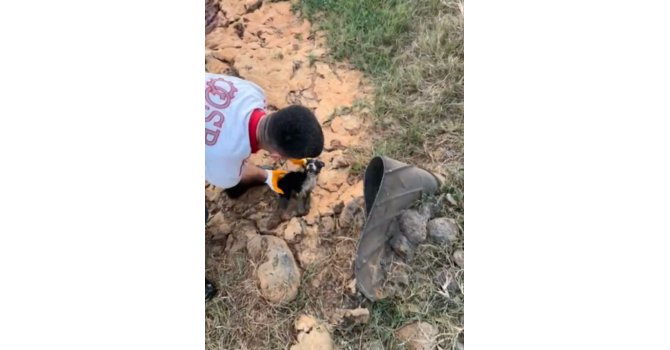 Osmaniye atık su kuyusunda mahsur kalan 2 yavru köpek kurtarıldı