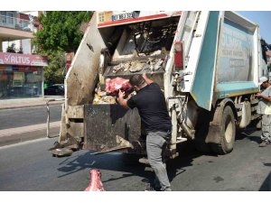 Yumurta paketinden hamam böceği yumurtaları çıktı, yapılan denetimden çıkanlar şoke etti