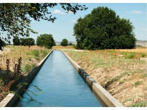 Yüreğir Ziraat Odası Başkanı Doğan: "Sulama ücretlerinin ertelenmesi gerekmektedir"