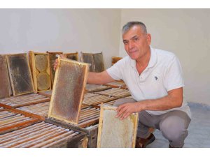 Kahramanmaraş’ta bu yıl 10 bin tonunun üzerinde bal rekoltesi bekleniyor