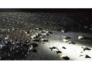 Mersin’de yönünü şaşıran yavru kaplumbağalar genç gönüllüler tarafından denize ulaştırılıyor