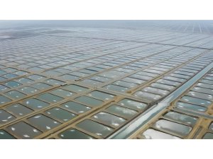 Tarıma Dayalı İhtisas Su Ürünleri Organize Sanayi Bölgesinde ön talep süreci başladı