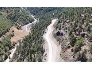 Feke’de 75 yıl sonra genişletilen yollar ormanın güzelliğini ortaya çıkardı