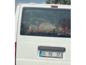 Adana’da etler hijyen kurallarına aykırı taşındı