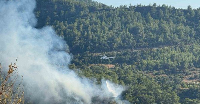 Manavgat’ta ormanlık alanda yangın