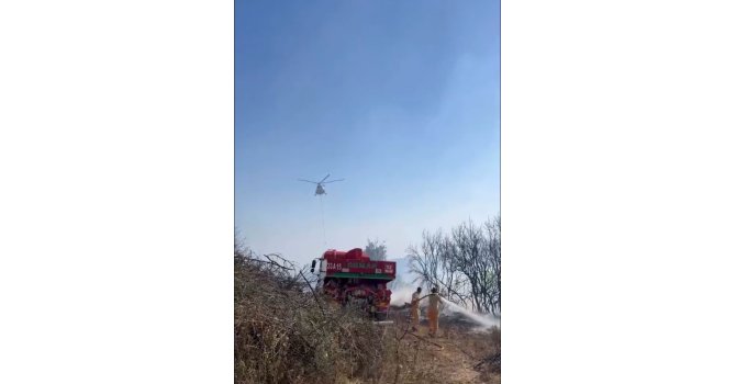 Mersin’de orman yangını havadan ve karadan müdahale ile söndürüldü