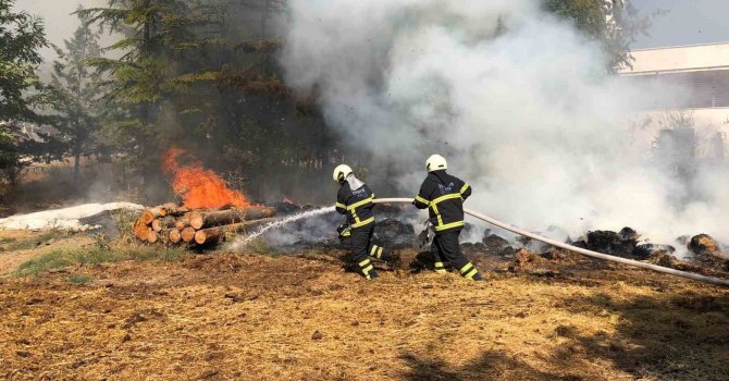 Apartmanın bahçesinde korkutan yangın