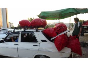 Çiftçilerin zorlu biber mesaisi