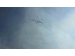 Otoyolda yanan araç orman yangını çıkardı