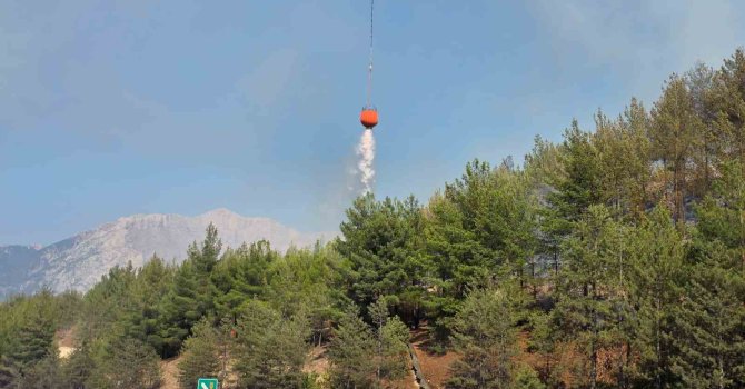 Aracın neden olduğu orman yangını kontrol altına alındı