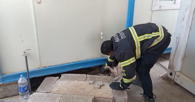 Hatay’da konteynerin altına sıkışan köpek kurtarıldı
