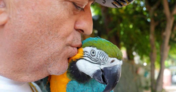 Turgut Özal’ın kaybolan papağanı 3 gün sonra bulundu