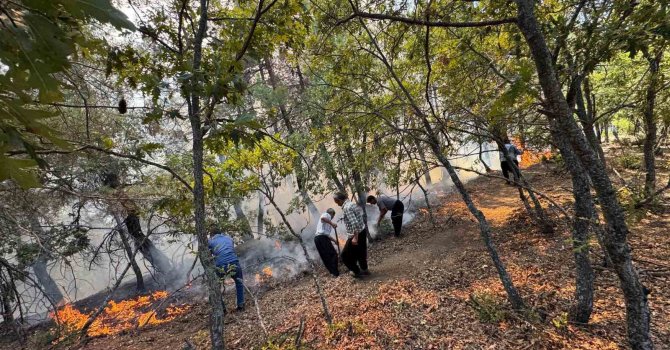 Adana Feke’de orman yangını ekipler havadan ve karadan müdahale ediyor